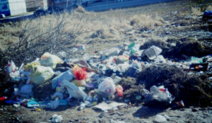 Вывоз бытового мусора в Москве