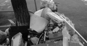 Вывоз мусора во Фрязино